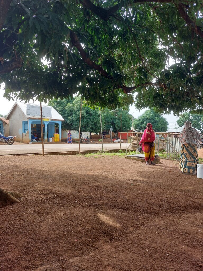 The pucture shows an empty space under a tree in Ghana with a person in a red dress in the background.