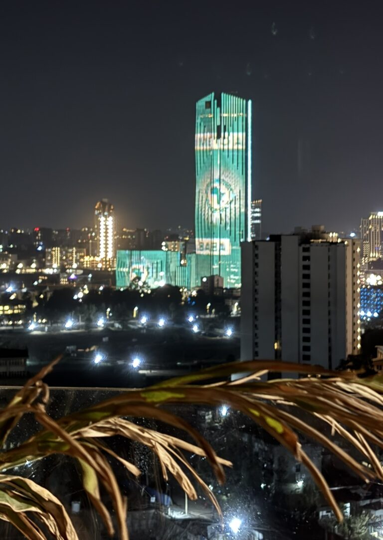 view on Addis Ababa by night. You can see a branck in the foreground and a building illuminated in the green and golden colors of the African Union.